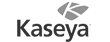 Kaseya